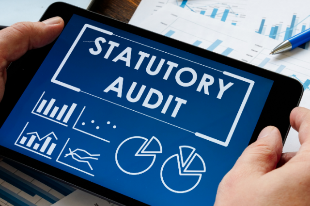 statutory auditing services